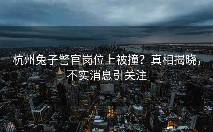 杭州兔子警官崗位上被撞？真相揭曉，不實消息引關注