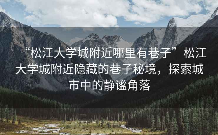 “松江大學城附近哪里有巷子”松江大學城附近隱藏的巷子秘境，探索城市中的靜謐角落