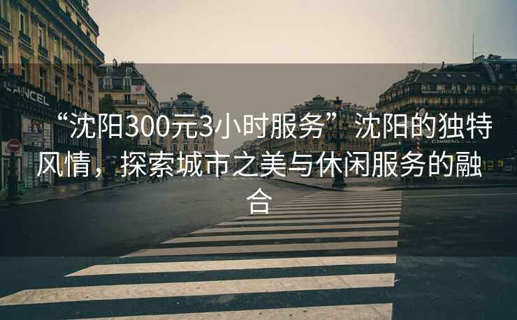 “沈陽300元3小時服務”沈陽的獨特風情，探索城市之美與休閑服務的融合