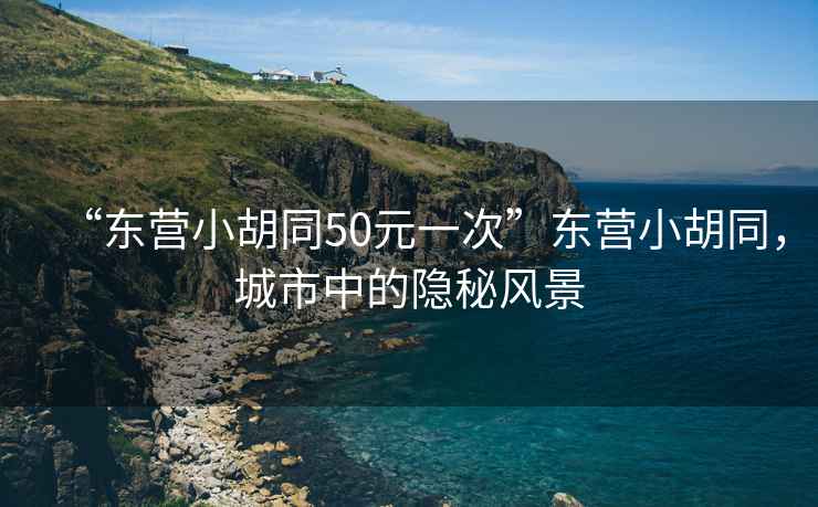 “東營(yíng)小胡同50元一次”東營(yíng)小胡同，城市中的隱秘風(fēng)景