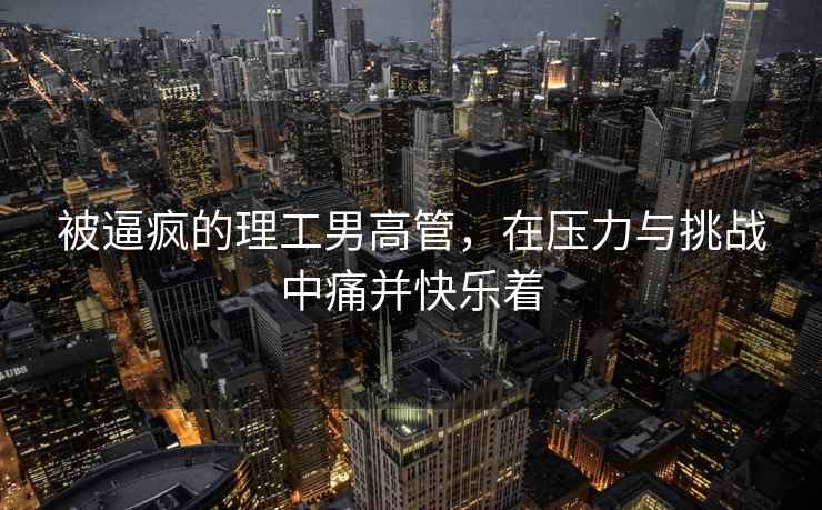 被逼瘋的理工男高管，在壓力與挑戰(zhàn)中痛并快樂(lè)著