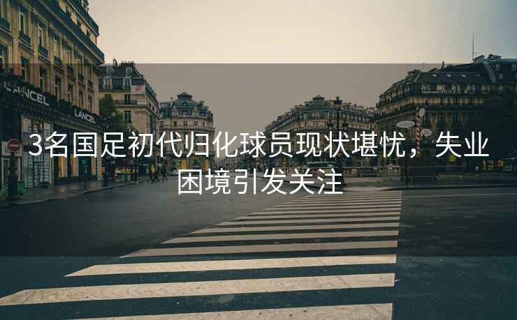 3名國足初代歸化球員現狀堪憂，失業困境引發關注