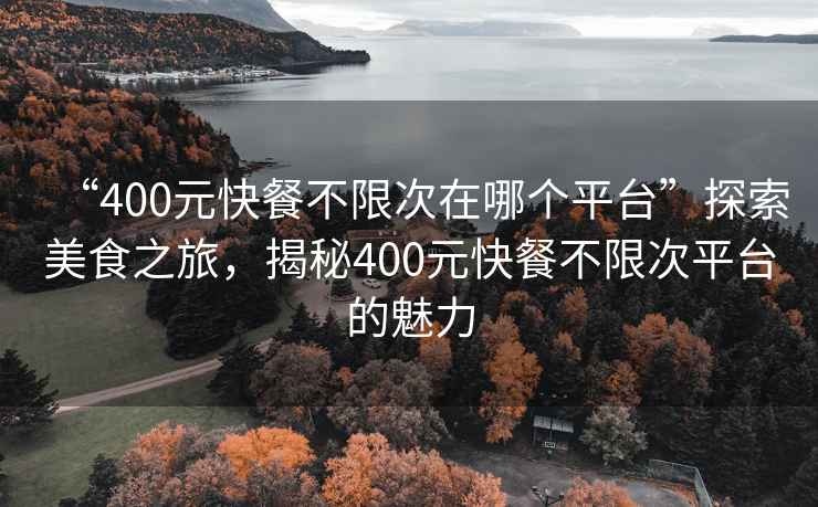 “400元快餐不限次在哪個(gè)平臺(tái)”探索美食之旅，揭秘400元快餐不限次平臺(tái)的魅力