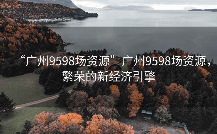 “廣州9598場資源”廣州9598場資源，繁榮的新經濟引擎