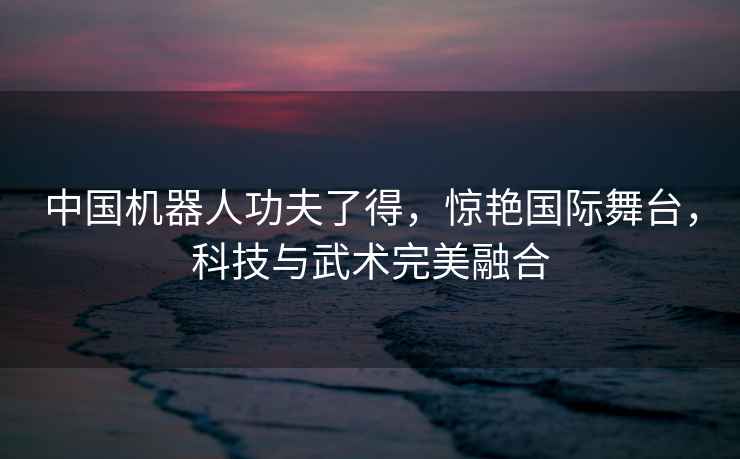 中國機器人功夫了得，驚艷國際舞臺，科技與武術完美融合