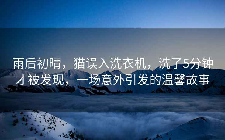雨后初晴，貓誤入洗衣機，洗了5分鐘才被發現，一場意外引發的溫馨故事