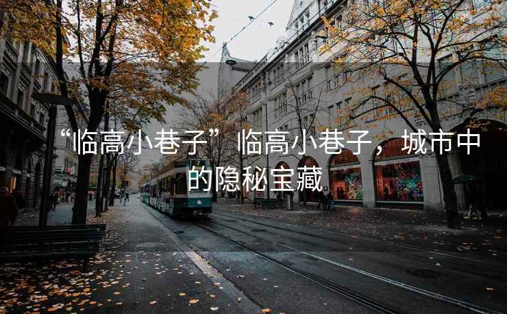“臨高小巷子”臨高小巷子，城市中的隱秘寶藏