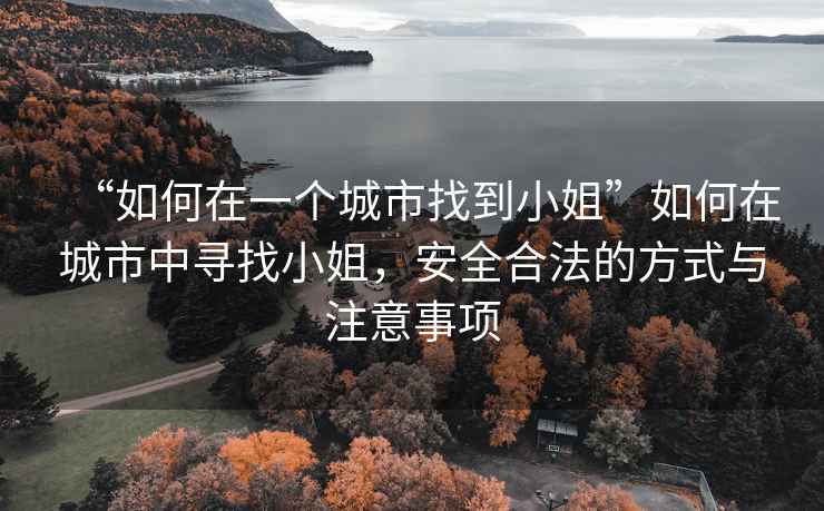 “如何在一個城市找到小姐”如何在城市中尋找小姐，安全合法的方式與注意事項