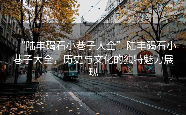 “陸豐碣石小巷子大全”陸豐碣石小巷子大全，歷史與文化的獨特魅力展現