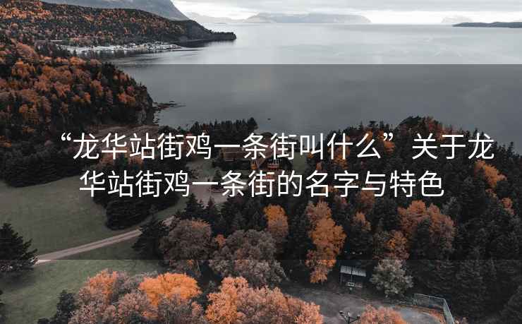 “龍華站街雞一條街叫什么”關于龍華站街雞一條街的名字與特色