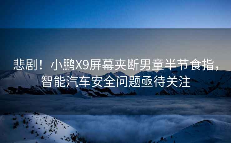 悲劇！小鵬X9屏幕夾斷男童半節食指，智能汽車安全問題亟待關注