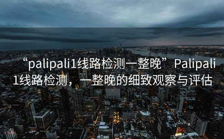 “palipali1線路檢測一整晚”Palipali1線路檢測，一整晚的細(xì)致觀察與評估