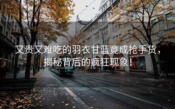 又貴又難吃的羽衣甘藍竟成搶手貨，揭秘背后的瘋狂現象！