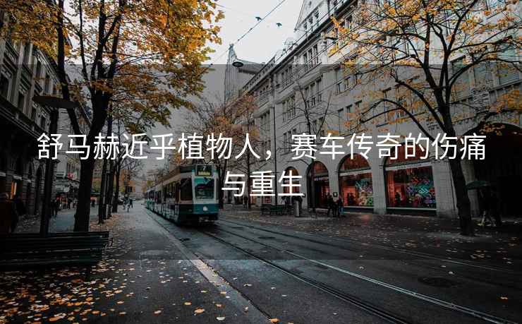 舒馬赫近乎植物人，賽車傳奇的傷痛與重生