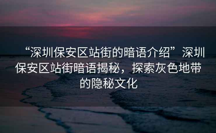 “深圳保安區站街的暗語介紹”深圳保安區站街暗語揭秘，探索灰色地帶的隱秘文化