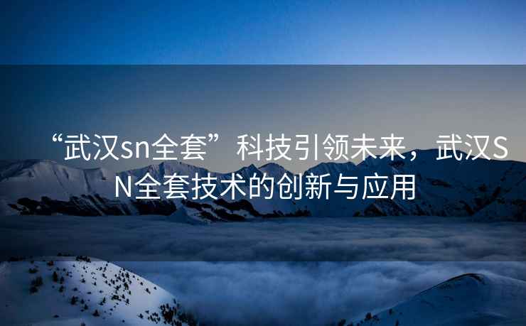 “武漢sn全套”科技引領(lǐng)未來，武漢SN全套技術(shù)的創(chuàng)新與應(yīng)用