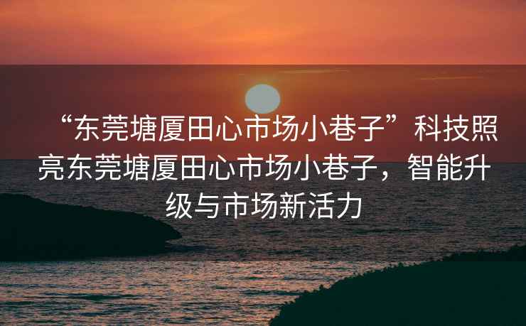 “東莞塘廈田心市場小巷子”科技照亮東莞塘廈田心市場小巷子，智能升級與市場新活力