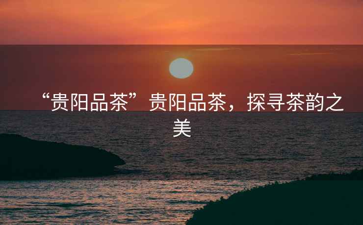 “貴陽品茶”貴陽品茶，探尋茶韻之美