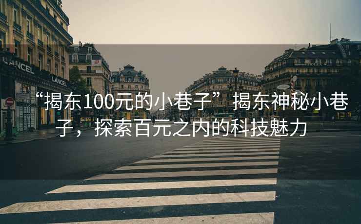 “揭東100元的小巷子”揭東神秘小巷子，探索百元之內的科技魅力