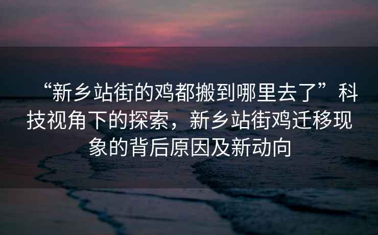 “新鄉(xiāng)站街的雞都搬到哪里去了”科技視角下的探索，新鄉(xiāng)站街雞遷移現(xiàn)象的背后原因及新動(dòng)向