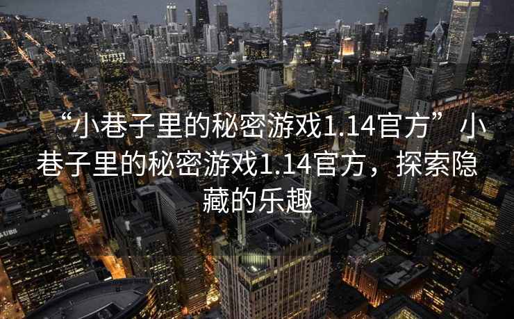 “小巷子里的秘密游戲1.14官方”小巷子里的秘密游戲1.14官方，探索隱藏的樂趣