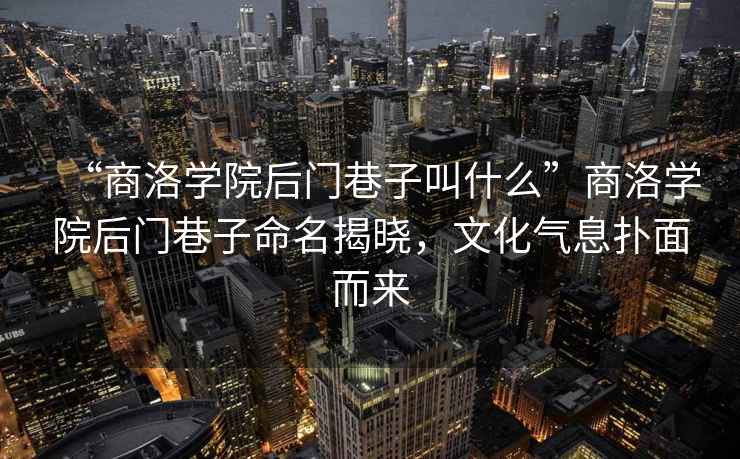 “商洛學院后門巷子叫什么”商洛學院后門巷子命名揭曉，文化氣息撲面而來