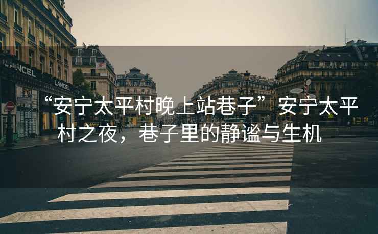 “安寧太平村晚上站巷子”安寧太平村之夜，巷子里的靜謐與生機(jī)