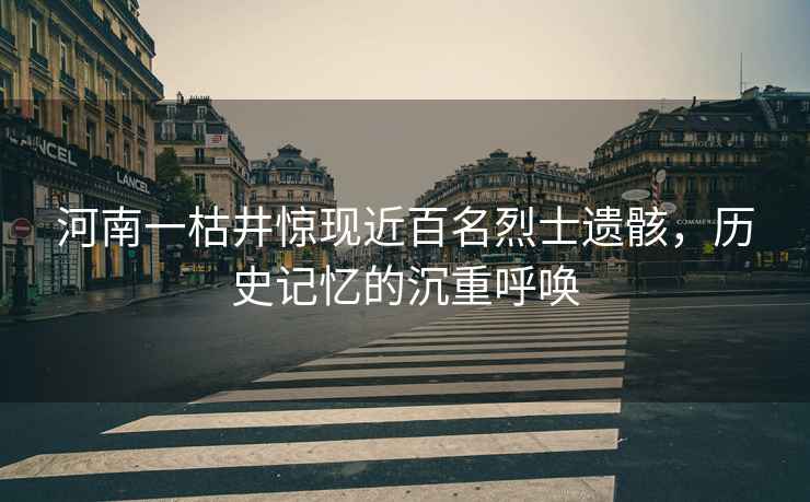 河南一枯井驚現近百名烈士遺骸，歷史記憶的沉重呼喚