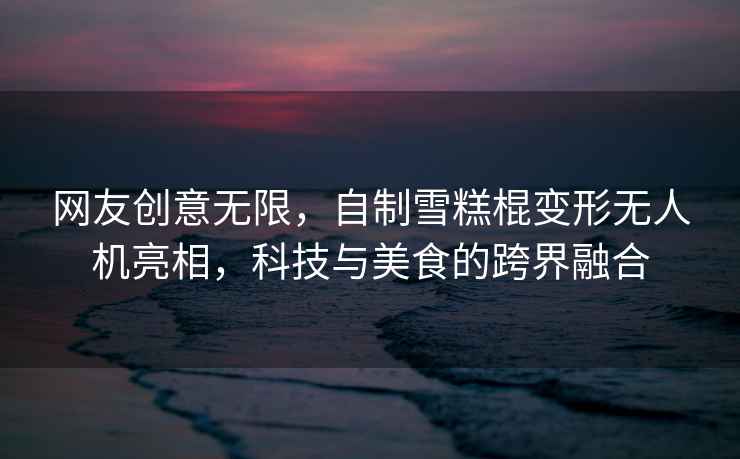 網友創意無限，自制雪糕棍變形無人機亮相，科技與美食的跨界融合