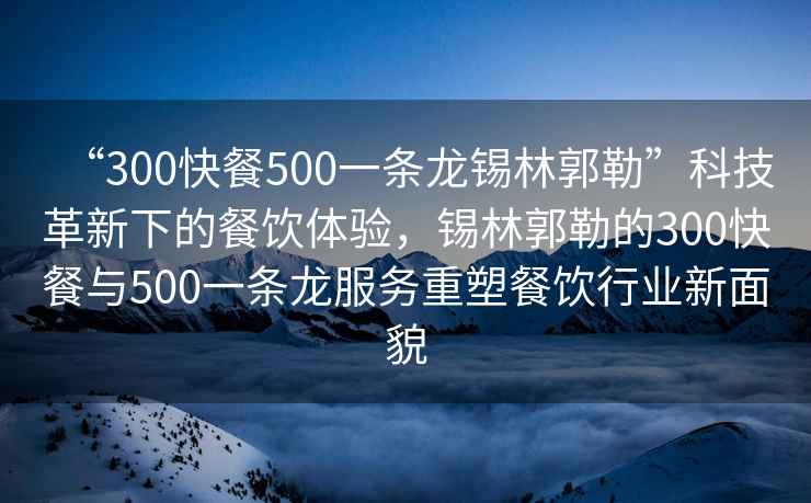 “300快餐500一條龍錫林郭勒”科技革新下的餐飲體驗(yàn)，錫林郭勒的300快餐與500一條龍服務(wù)重塑餐飲行業(yè)新面貌