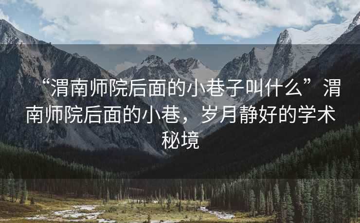 “渭南師院后面的小巷子叫什么”渭南師院后面的小巷，歲月靜好的學術秘境