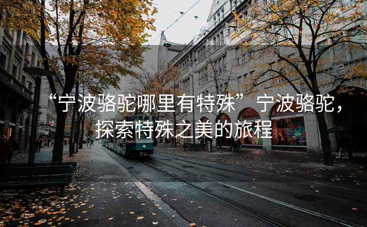 “寧波駱駝哪里有特殊”寧波駱駝，探索特殊之美的旅程
