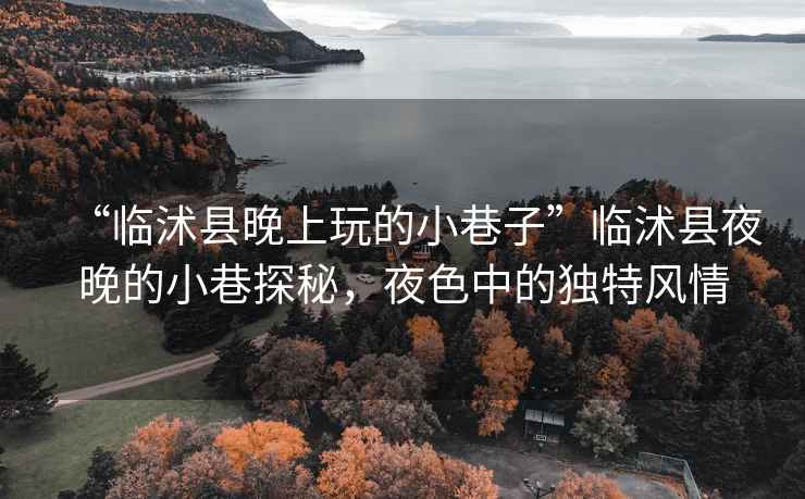 “臨沭縣晚上玩的小巷子”臨沭縣夜晚的小巷探秘，夜色中的獨特風情