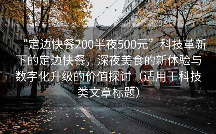 “定邊快餐200半夜500元”科技革新下的定邊快餐，深夜美食的新體驗與數字化升級的價值探討（適用于科技類文章標題）