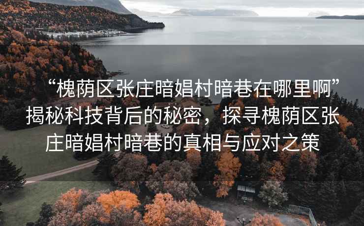 “槐蔭區張莊暗娼村暗巷在哪里啊”揭秘科技背后的秘密，探尋槐蔭區張莊暗娼村暗巷的真相與應對之策