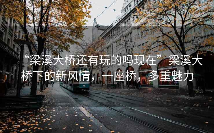 “梁溪大橋還有玩的嗎現在”梁溪大橋下的新風情，一座橋，多重魅力