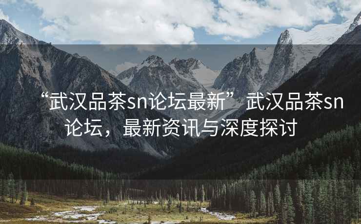 “武漢品茶sn論壇最新”武漢品茶sn論壇，最新資訊與深度探討