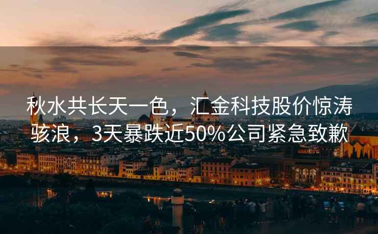 秋水共長(zhǎng)天一色，匯金科技股價(jià)驚濤駭浪，3天暴跌近50%公司緊急致歉
