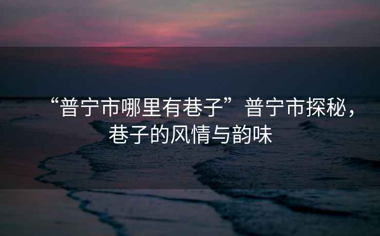 “普寧市哪里有巷子”普寧市探秘，巷子的風情與韻味