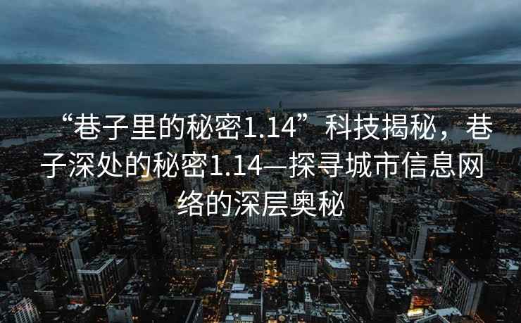 “巷子里的秘密1.14”科技揭秘，巷子深處的秘密1.14—探尋城市信息網絡的深層奧秘