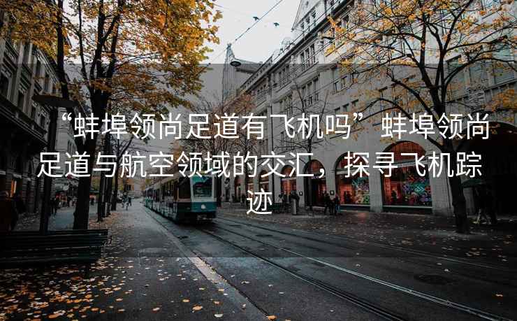 “蚌埠領(lǐng)尚足道有飛機嗎”蚌埠領(lǐng)尚足道與航空領(lǐng)域的交匯，探尋飛機蹤跡