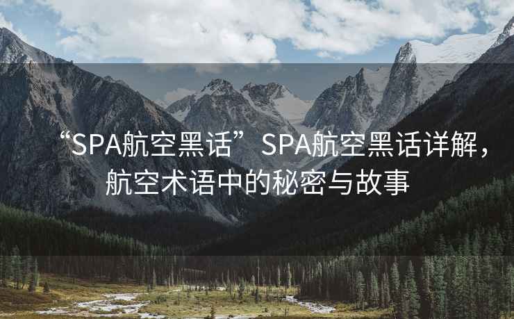 “SPA航空黑話”SPA航空黑話詳解，航空術語中的秘密與故事