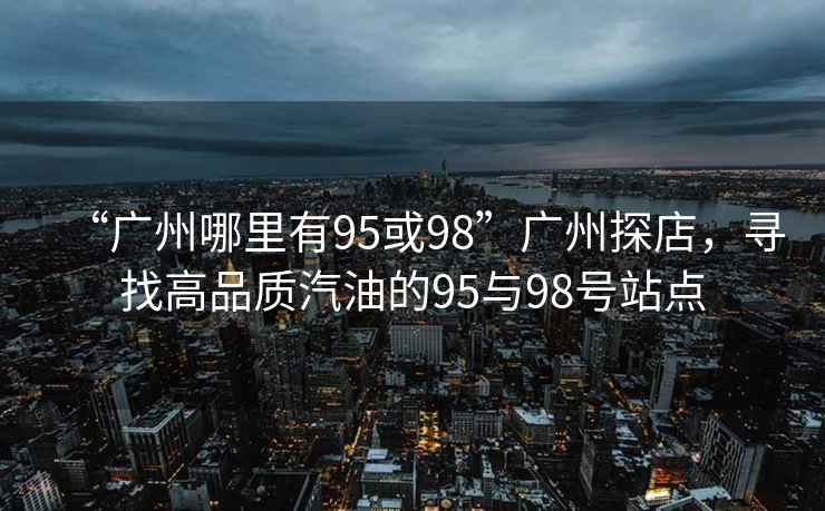 “廣州哪里有95或98”廣州探店，尋找高品質汽油的95與98號站點