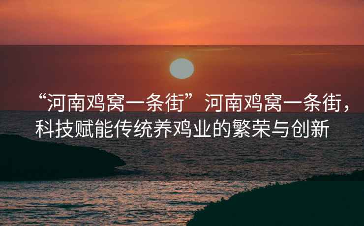 “河南雞窩一條街”河南雞窩一條街，科技賦能傳統養雞業的繁榮與創新