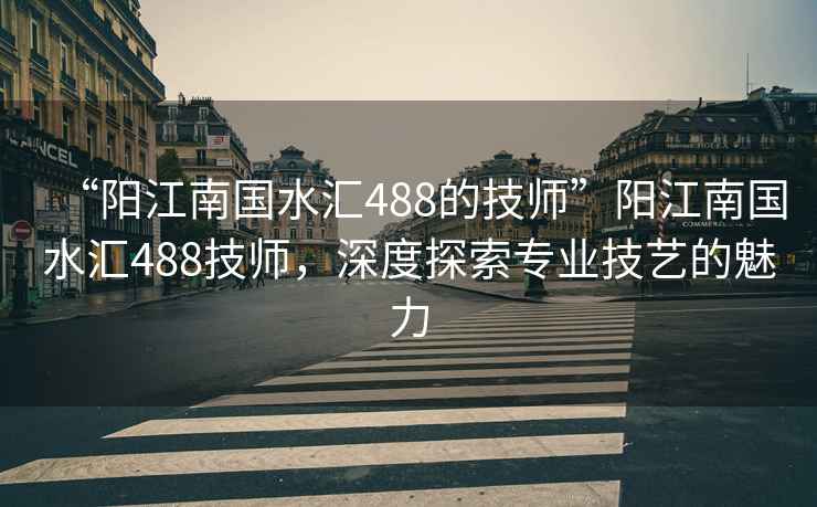 “陽江南國水匯488的技師”陽江南國水匯488技師，深度探索專業技藝的魅力