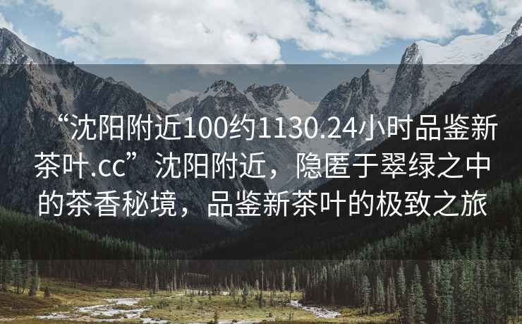“沈陽附近100約1130.24小時品鑒新茶葉.cc”沈陽附近，隱匿于翠綠之中的茶香秘境，品鑒新茶葉的極致之旅