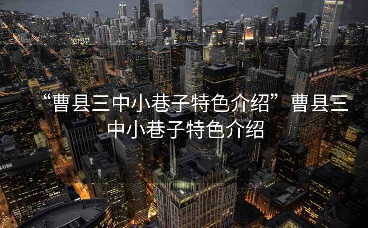 “曹縣三中小巷子特色介紹”曹縣三中小巷子特色介紹