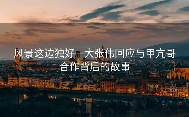 風(fēng)景這邊獨(dú)好—大張偉回應(yīng)與甲亢哥合作背后的故事