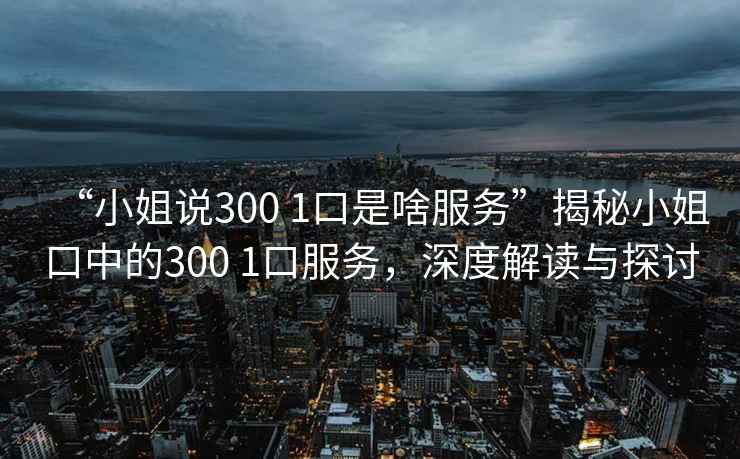 “小姐說300 1口是啥服務”揭秘小姐口中的300 1口服務，深度解讀與探討