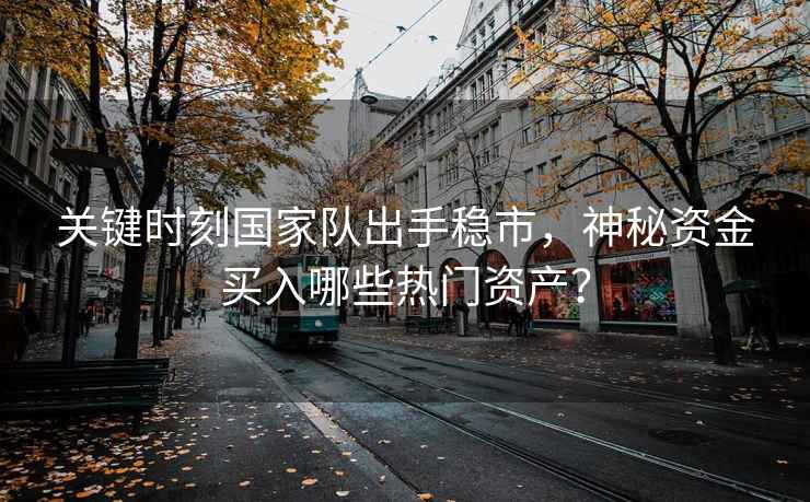 關鍵時刻國家隊出手穩市，神秘資金買入哪些熱門資產？